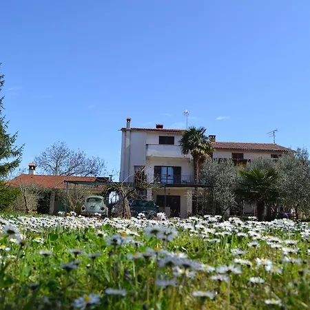 Apartmán Viva Molindrio Poreč Exteriér fotografie