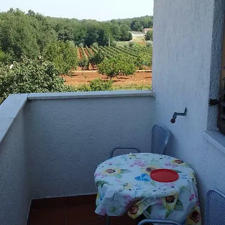 Apartmán Viva Molindrio Poreč Exteriér fotografie