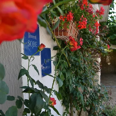 Apartmán Viva Molindrio Poreč Exteriér fotografie