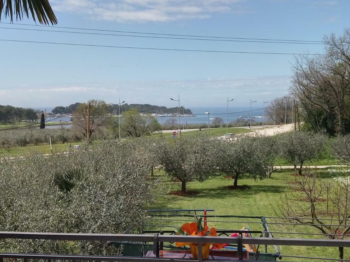 Apartmán Viva Molindrio *