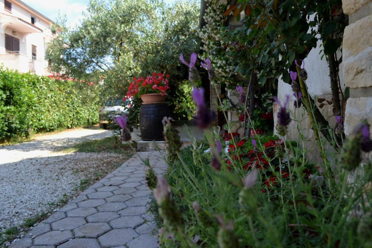 Apartmán Viva Molindrio